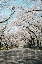 6月30号世界杯转播-6月30号世界杯转播，激情与期待的交汇点