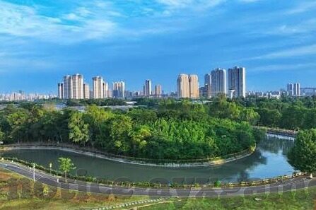 河内足球比分-河内足球风云，比分背后的热血与梦想