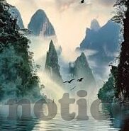 帕丘卡足球比分-帕丘卡，墨西哥足球的荣耀之师与比分背后的激情故事